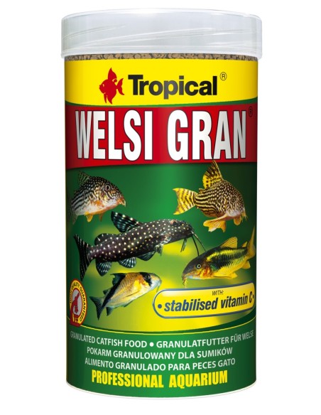 WELSI GRAN  1000ML