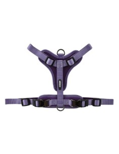 ARNES NEOPRENO CRONOS LILA  20MMX 34-75M