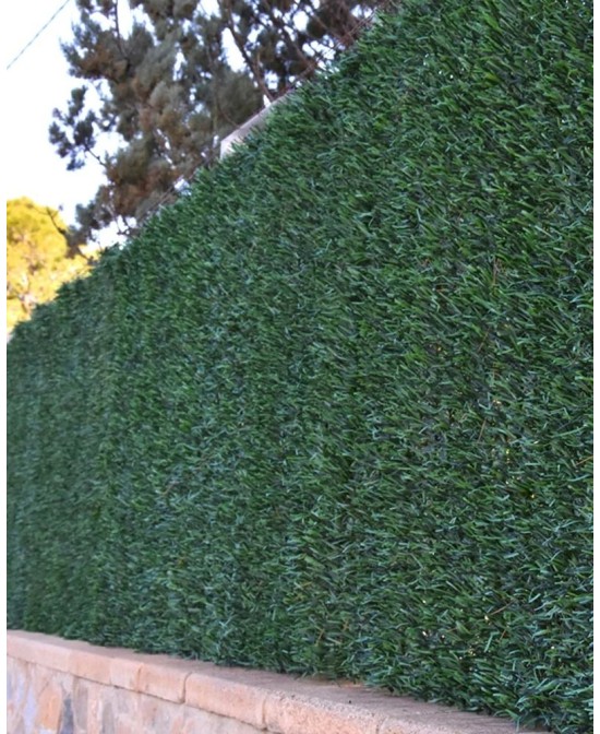 SETO BICOLOR HOJA ANCHA 2X3M