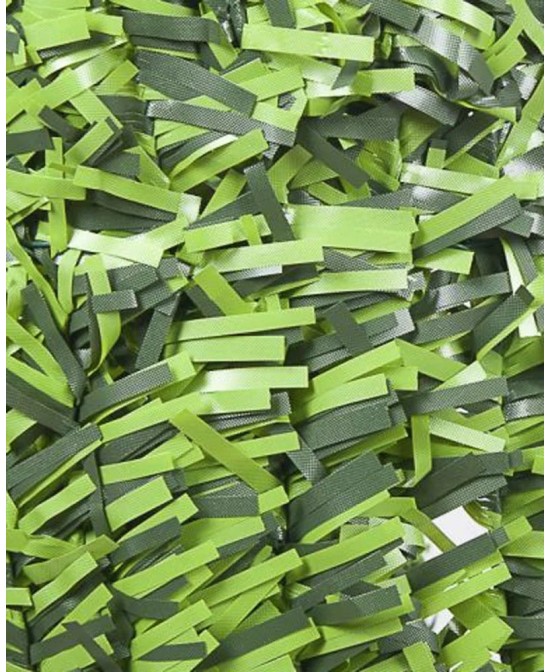 SETO BICOLOR HOJA ANCHA 2X3M