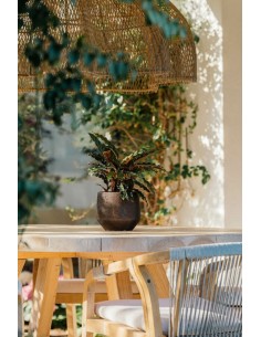 MACETA GREA 17X17CM MARRON 2