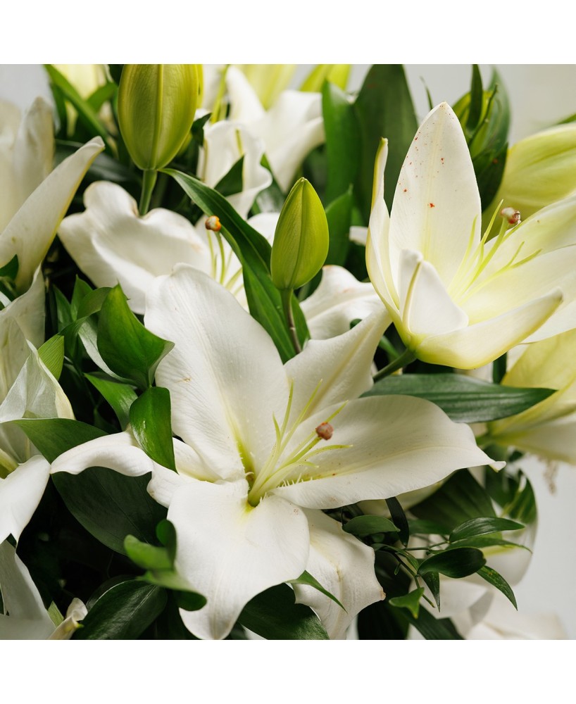 Ramo de lilium oriental con verdes de temporada - M