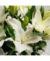 Ramo de lilium oriental con verdes de temporada - M