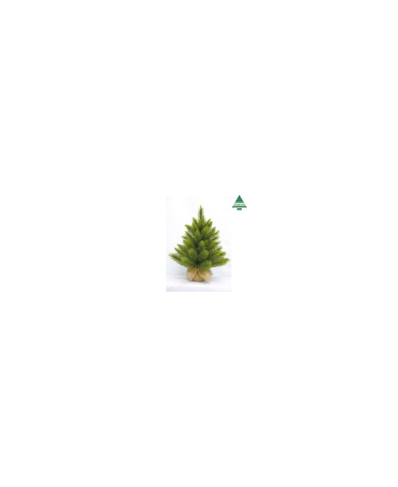 PINO WYOMING X*MAS CON ARPILLERA VERDE H60XD53CM
