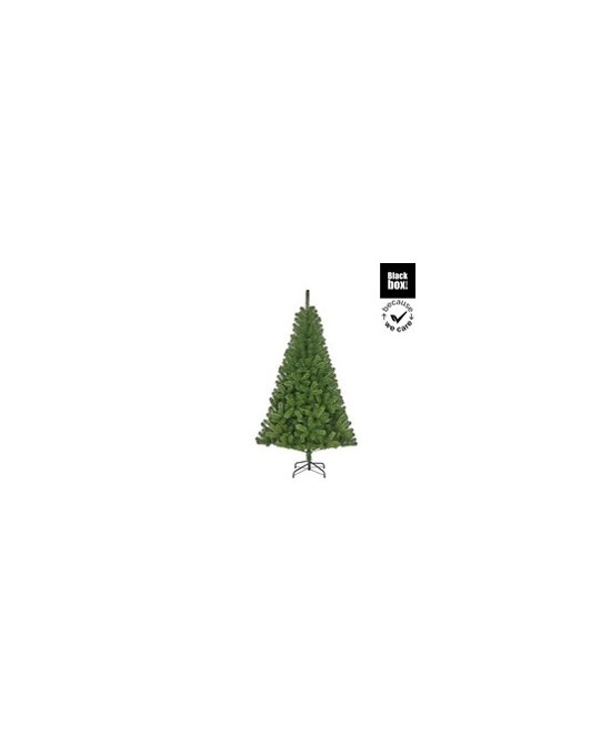 PINO ALDERFEN VERDE H228XD147CM