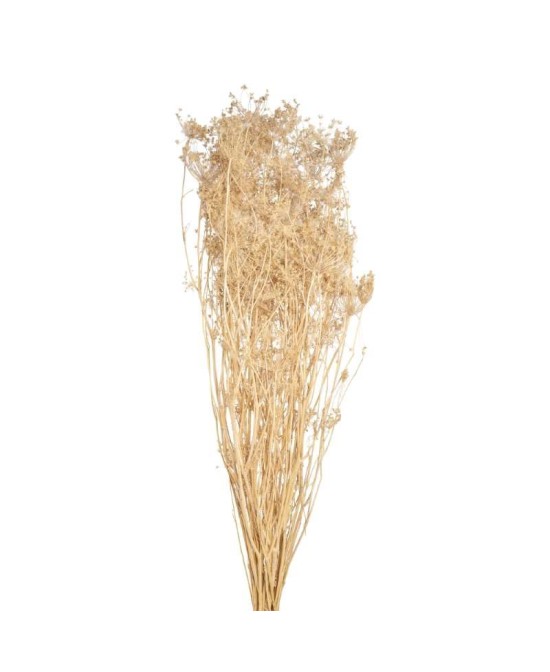 OMBRELIFERA NATURAL 150GR