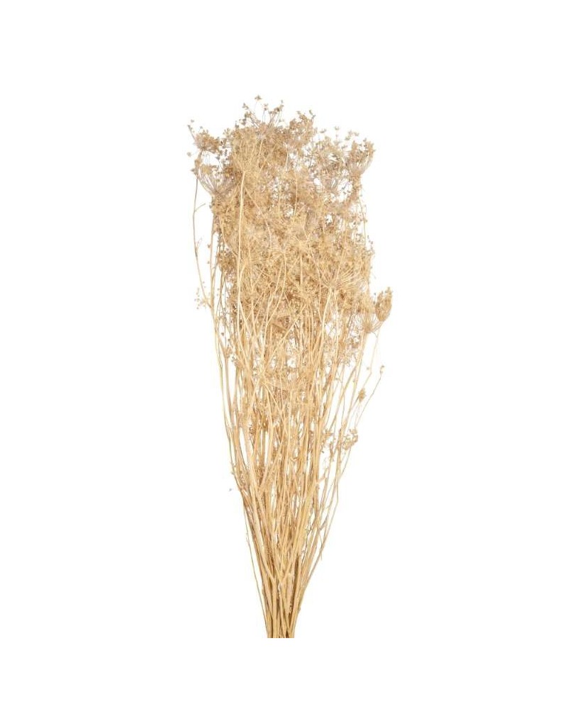 OMBRELIFERA NATURAL 150GR