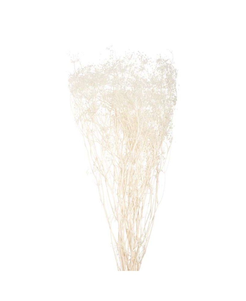 OMBRELIFERA BLANCO 150GR