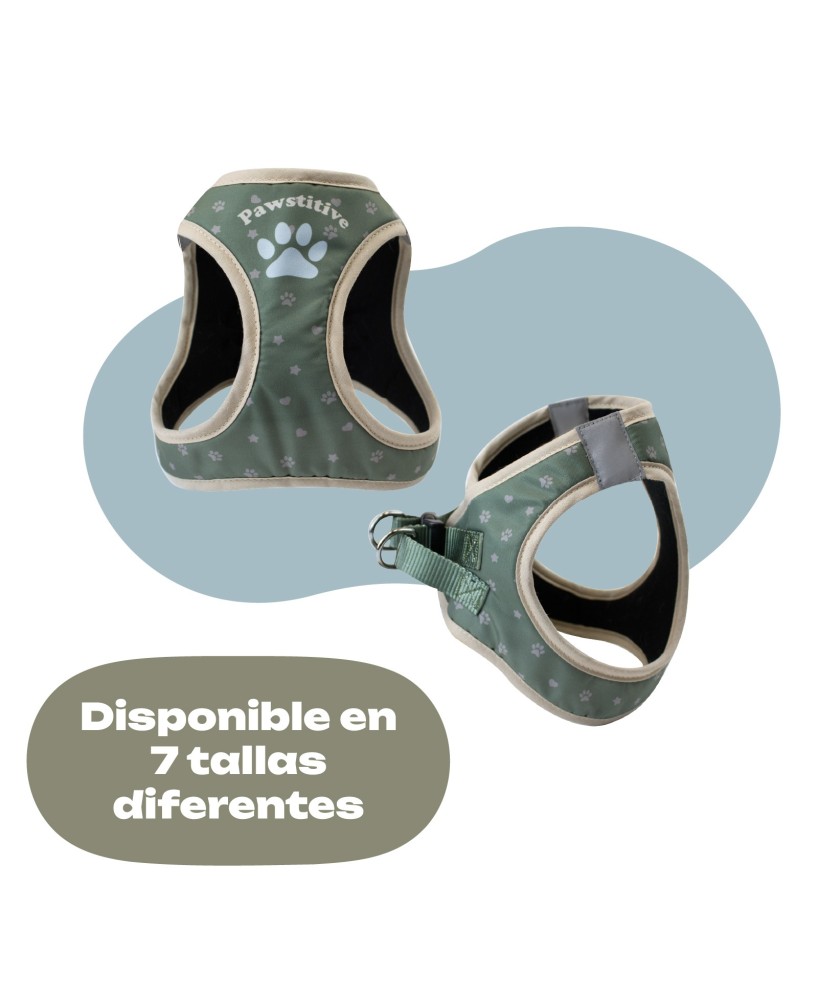 ARNES CONFORT HUELLAS T4