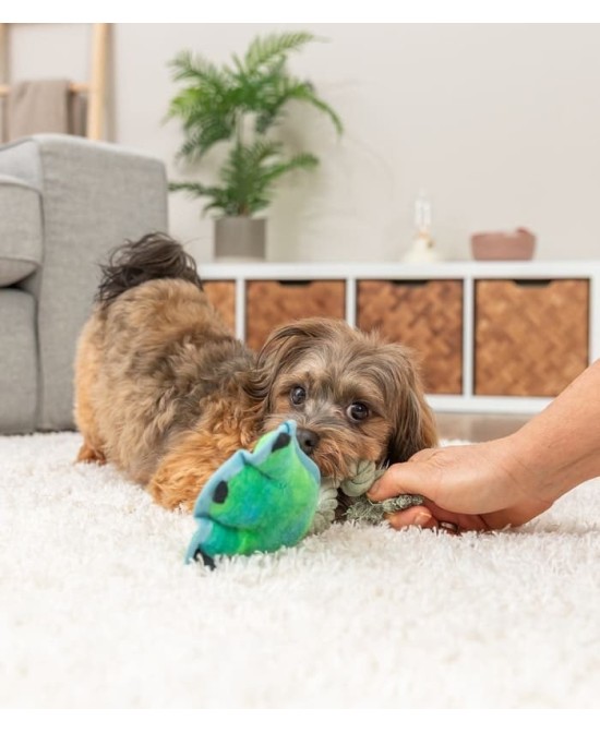 Pata en cuerda 22 cm para perros juguete resistente y divertido