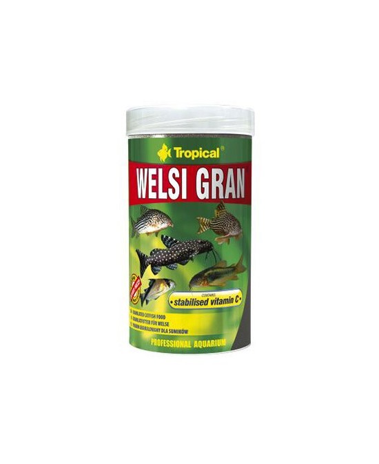 WELSI GRAN  250ML