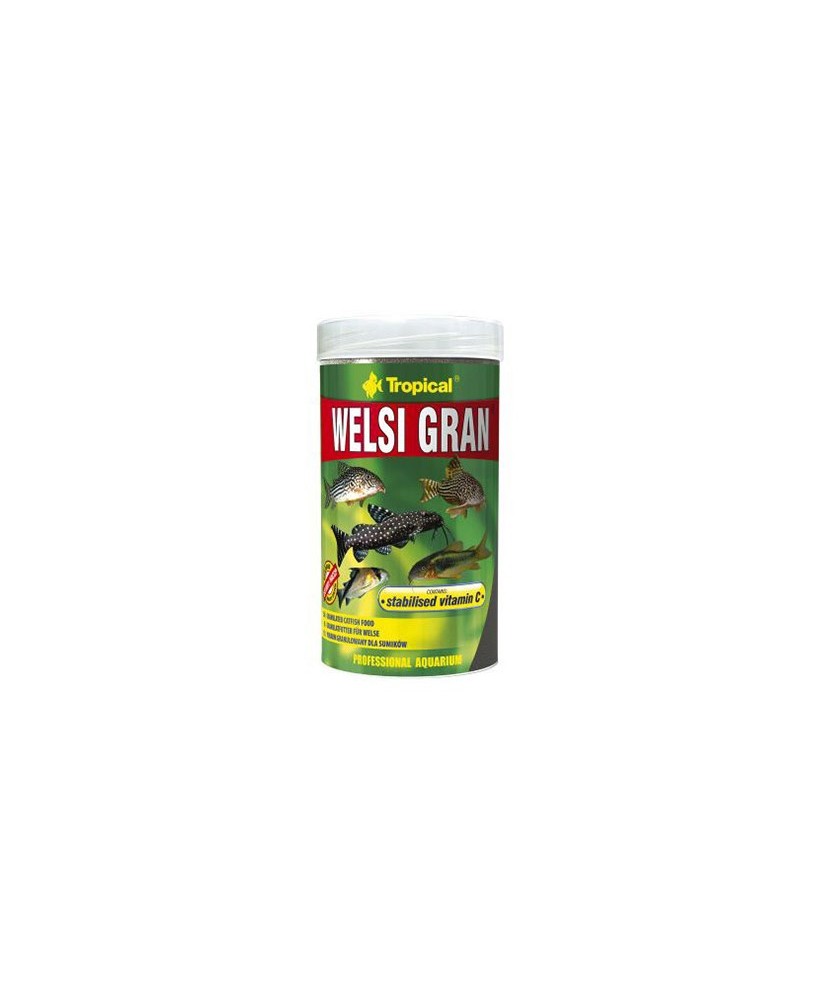 WELSI GRAN  250ML