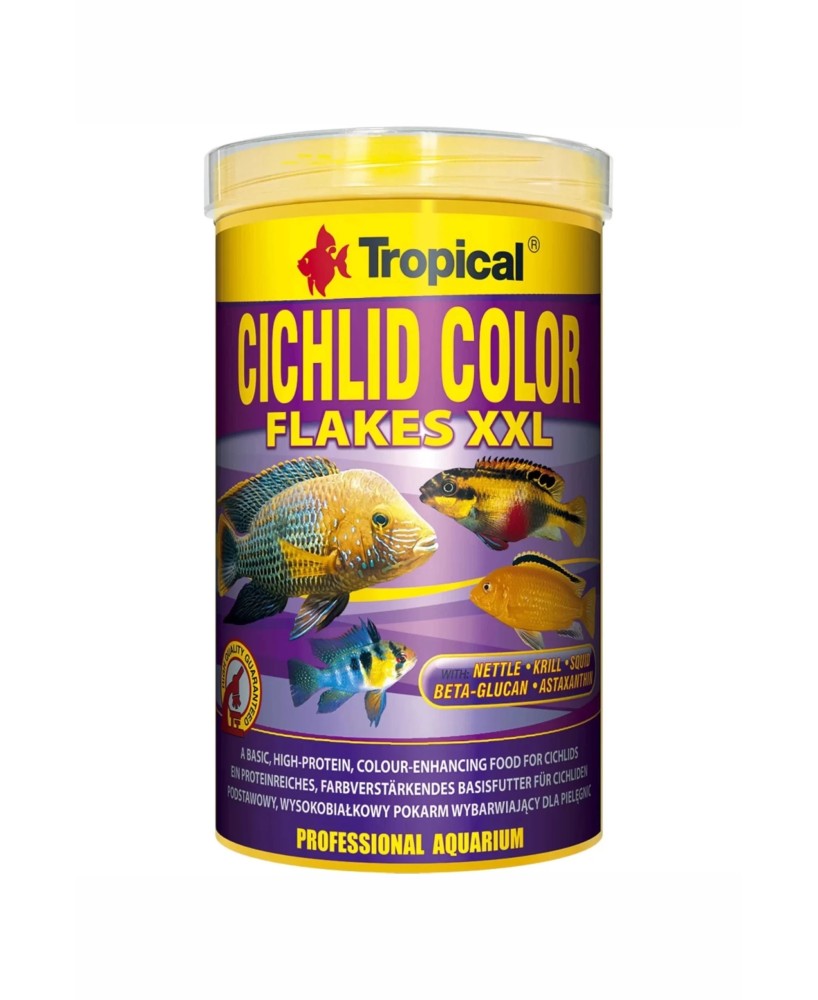 CHICHILD COLOR XXL 1000ML