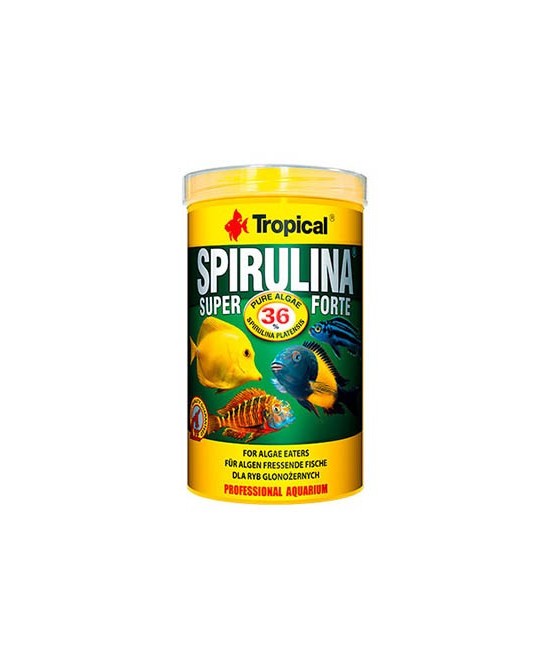 SUPER SPIRULINA FORTE 250ML