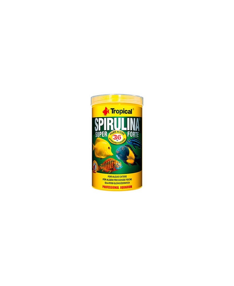 SUPER SPIRULINA FORTE 250ML