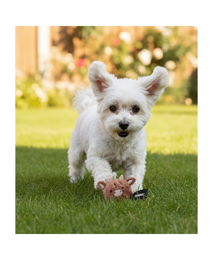BUEY CON PELOTA PARA PERRO TPR 5CM