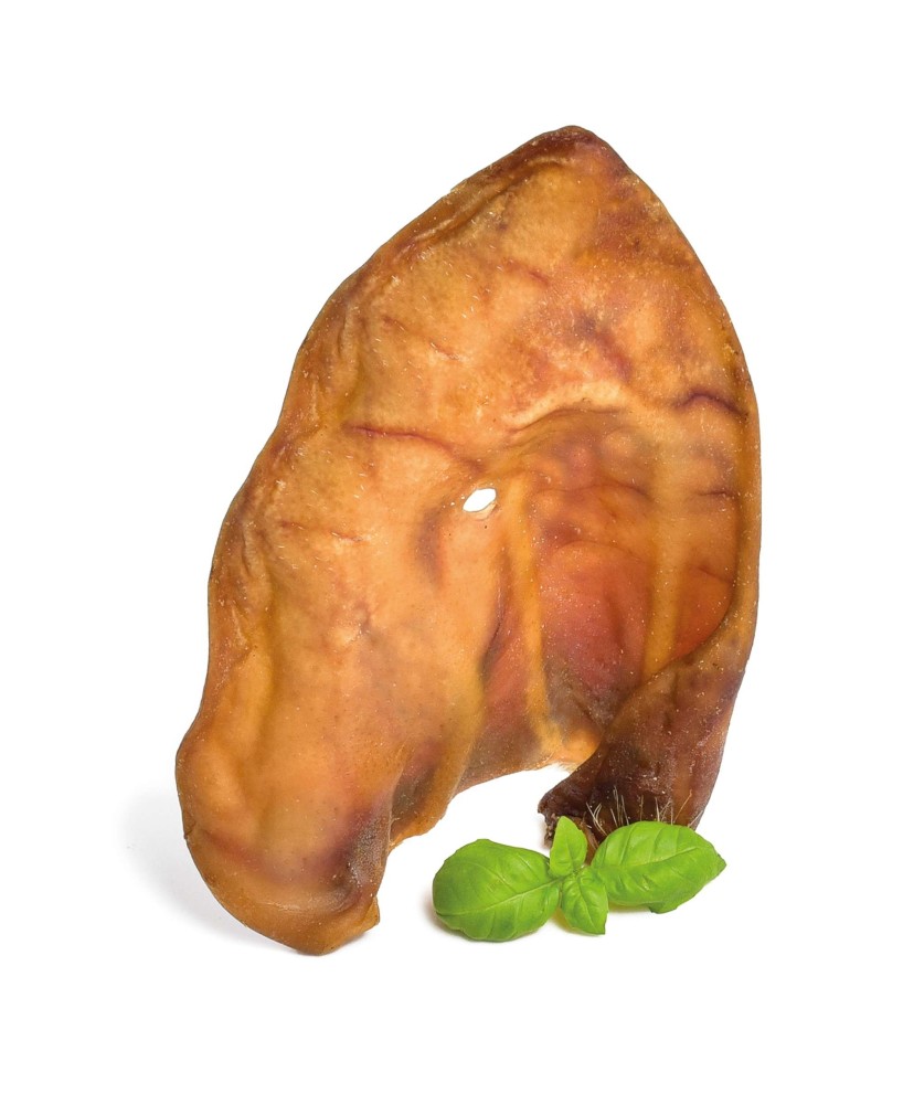 OREJA DE CERDO 1 UD