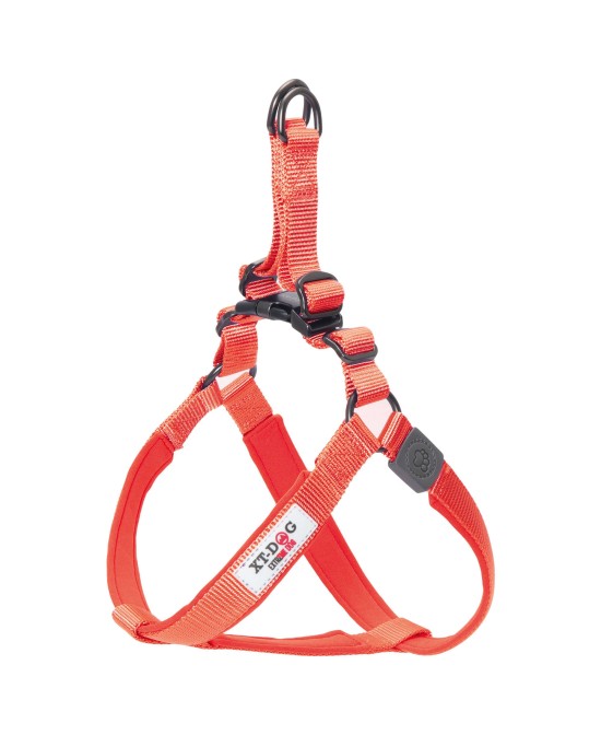 ARNES NYLON+NEOPRENO ROJO L 2.5CM