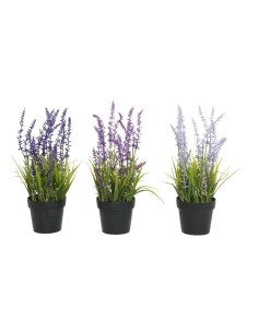 LAVANDA EN BOTE 15X15X30CM