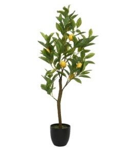 ARBOL LIMONERO EN MACETA VERDE 25CM