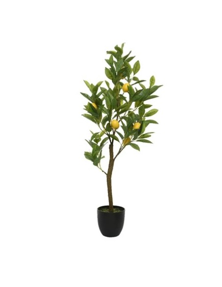ARBOL LIMONERO EN MACETA VERDE 25CM