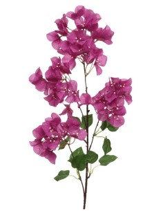 RAMA BOUGAINVILLEA MORADO 15X30X100CM