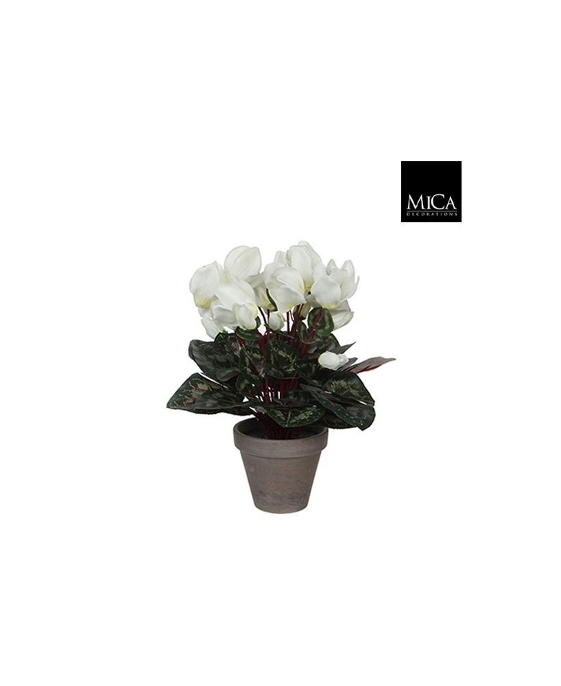 CYCLAMEN BLANCO EN MACETA GRIS 30X30CM