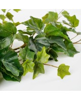 HIEDRA COLGANTE VERDE 15CM