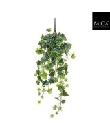 HIEDRA COLGANTE VARIEGATA 15CM