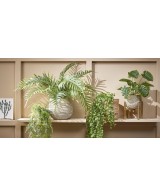 HELECHO COLGANTE VERDE 80CM