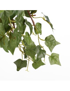 IVY VERDE EN MACETA GRIS 25CM 2