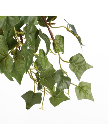 IVY VERDE EN MACETA GRIS 25CM