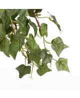 IVY VERDE EN MACETA GRIS 25CM