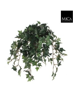 IVY VERDE EN MACETA GRIS 25CM