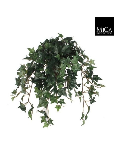 IVY VERDE EN MACETA GRIS 25CM