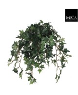 IVY VERDE EN MACETA GRIS 25CM