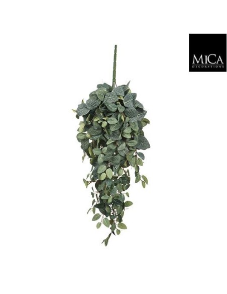 PILEA COLGANTE VERDE 20CM