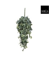 PILEA COLGANTE VERDE 20CM