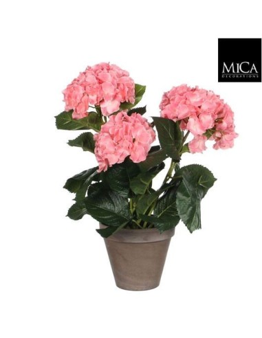 HYDRANGEA ROSA MACETA  STAND GRIS 13.5CM