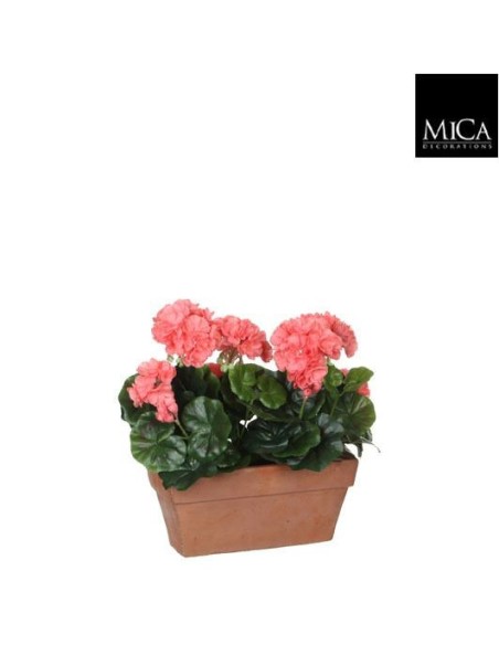 GERANIO SALMON EN MACETA 29X13X40CM