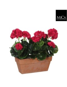 GERANIO ROSA OSCURO EN MACETA 29X13X40CM