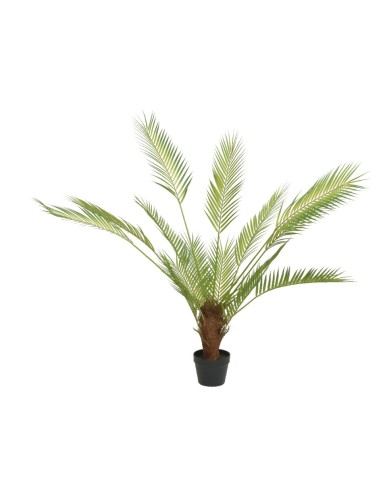 PALMERA VERDE  90X150CM