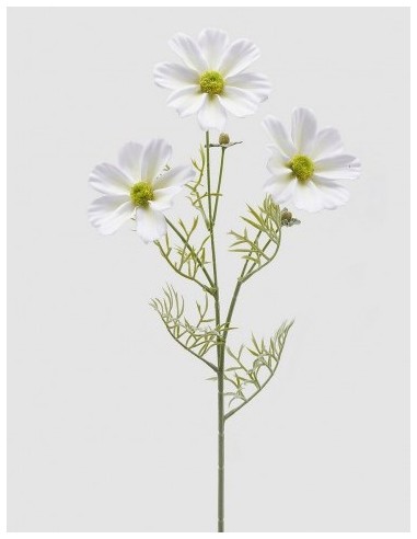 COSMOS RAMOX3 CON FLOR BLANCA