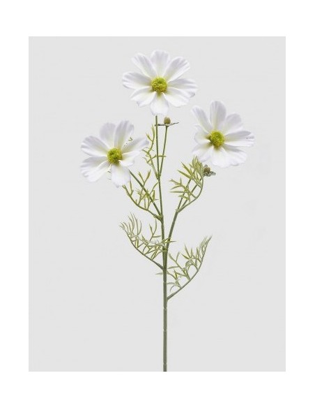 COSMOS RAMOX3 CON FLOR BLANCA