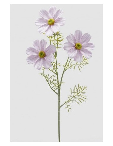 COSMOS RAMOX3 CON FLOR ROSA
