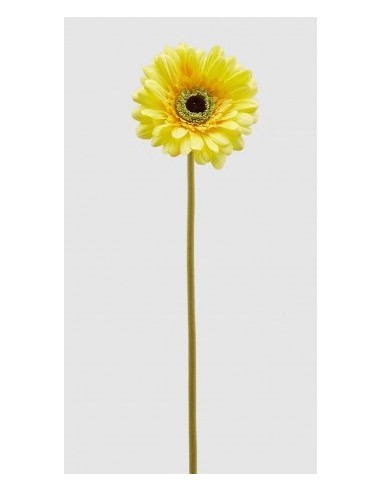 GERBERA RAMO AMARILLO