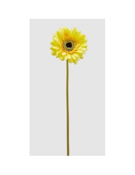 GERBERA RAMO AMARILLO