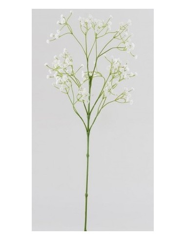 RAMA GYPSOPHILA OLIS BLANCA