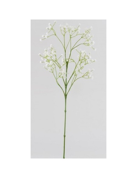 RAMA GYPSOPHILA OLIS BLANCA