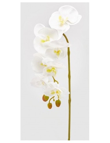 ORQUIDEA RAMO BLANCO X7 H85